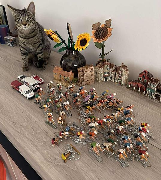 Kattenpraat