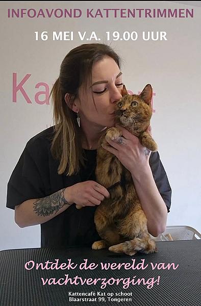 Kattenpraat