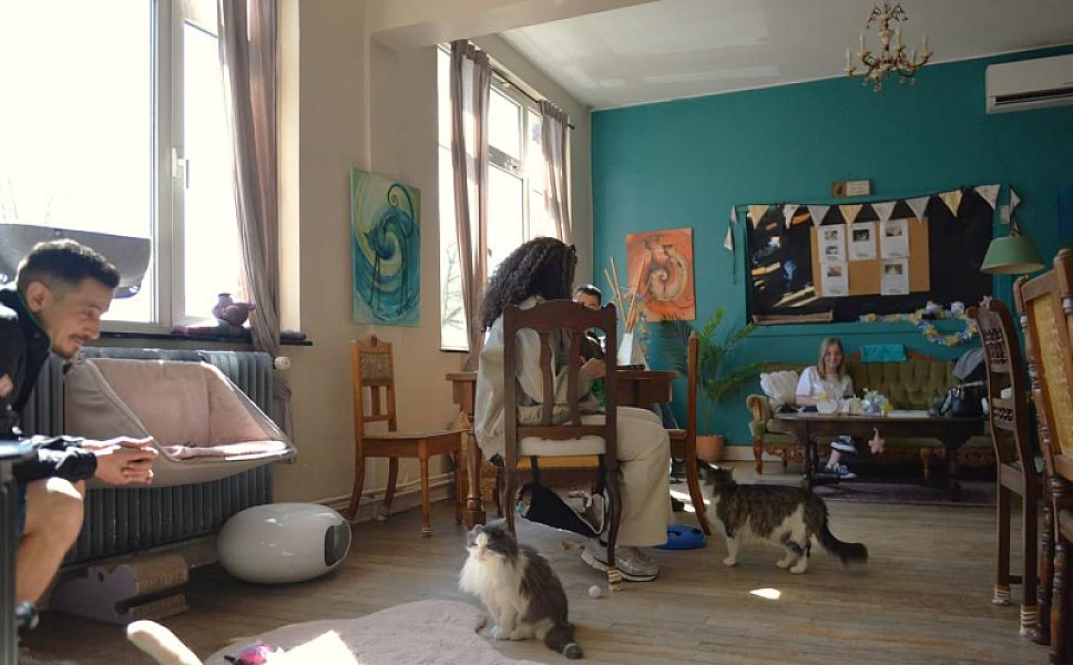 Kattenpraat