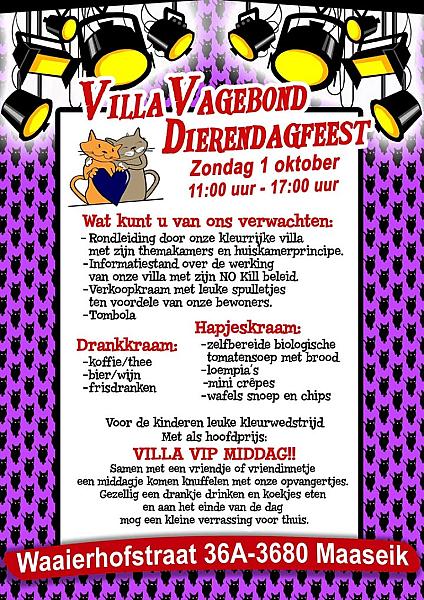 Kattenpraat