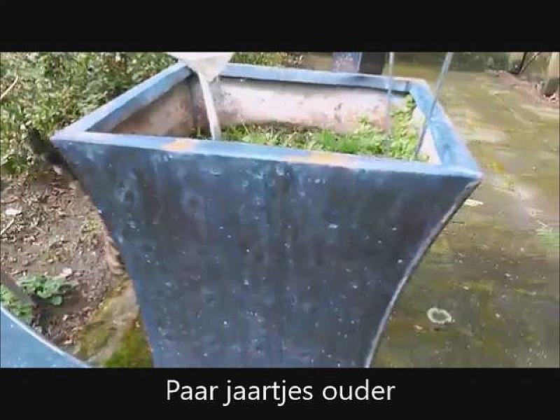 Kattenpraat