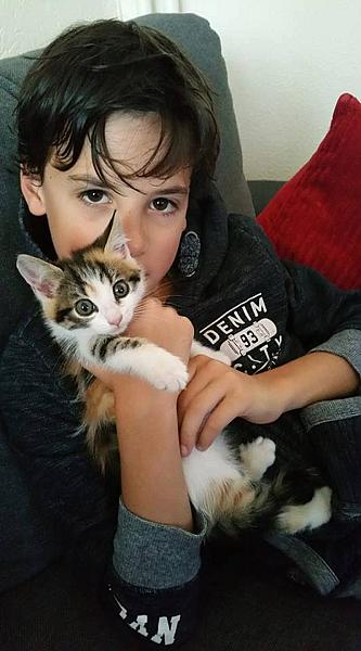 Kattenpraat