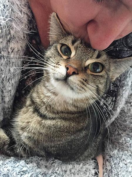 Kattenpraat