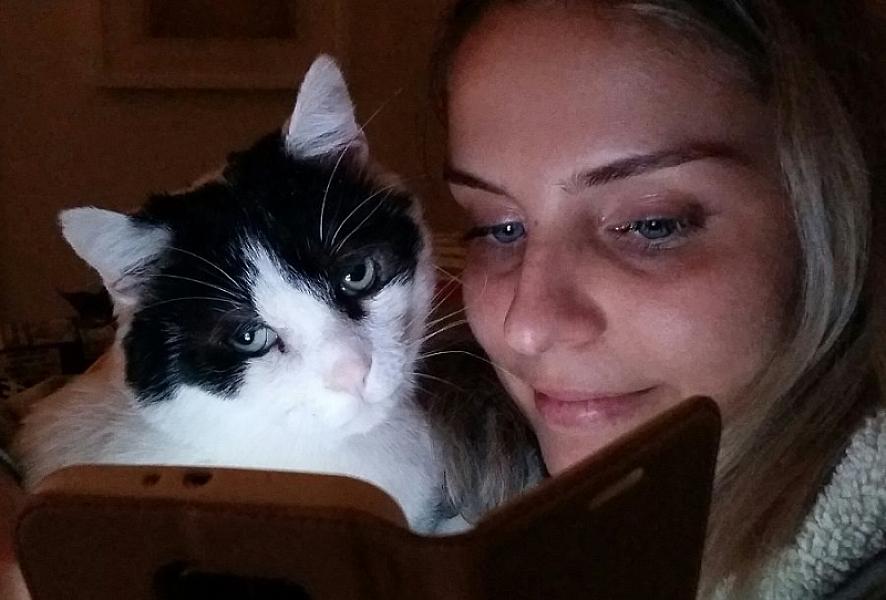 Kattenpraat