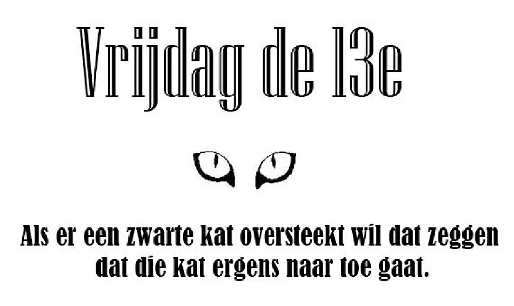 Kattenpraat