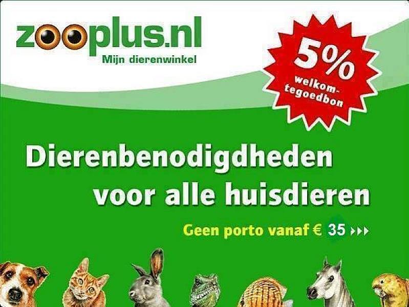 Kattenpraat