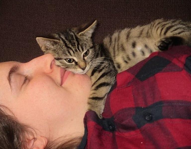 Kattenpraat