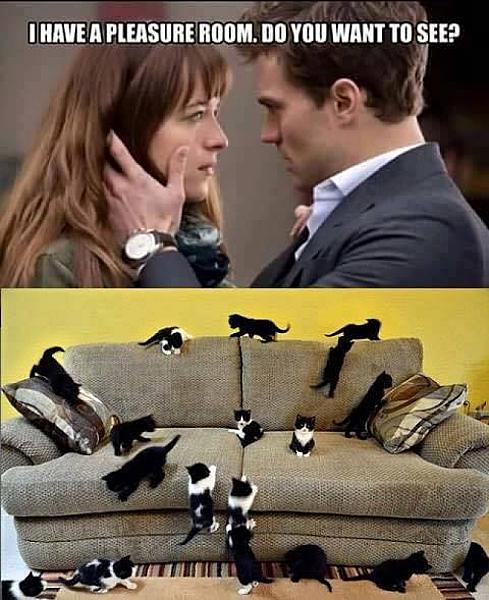 Kattenpraat
