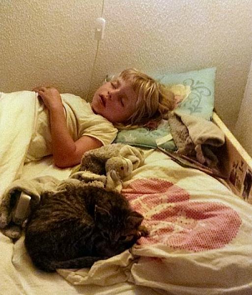 Kattenpraat
