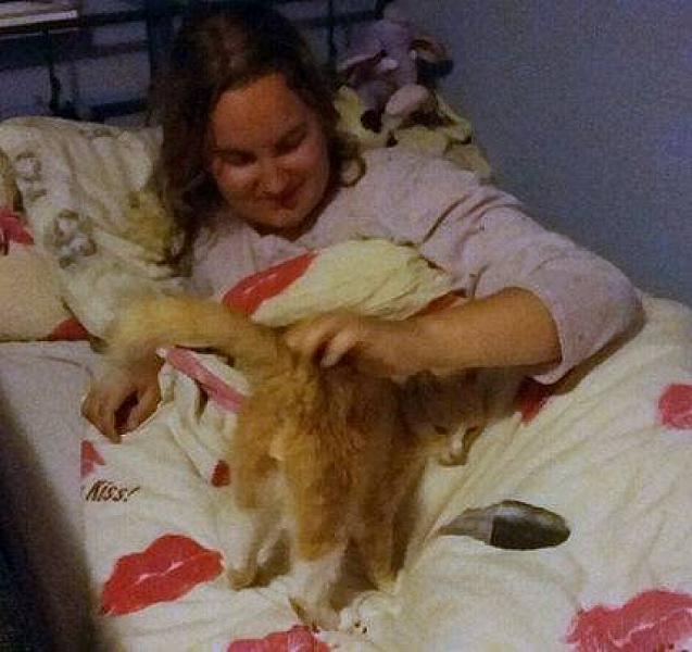 Kattenpraat