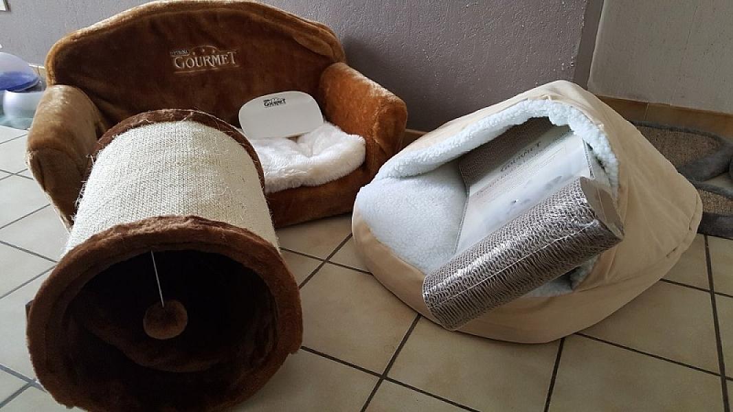 Kattenpraat