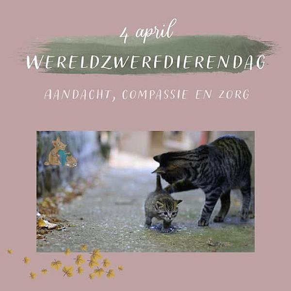 Kattenpraat