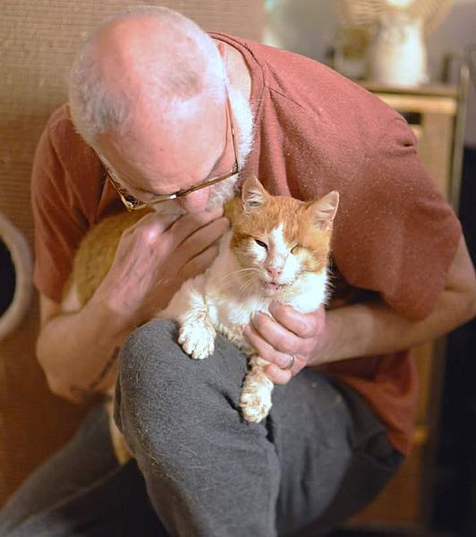 Kattenpraat