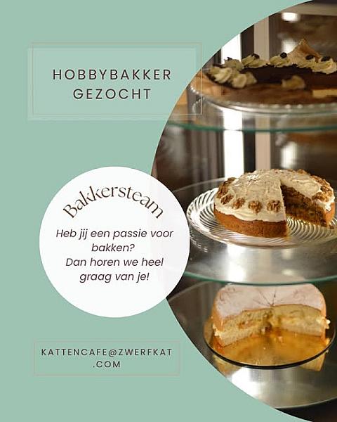 Kattenpraat