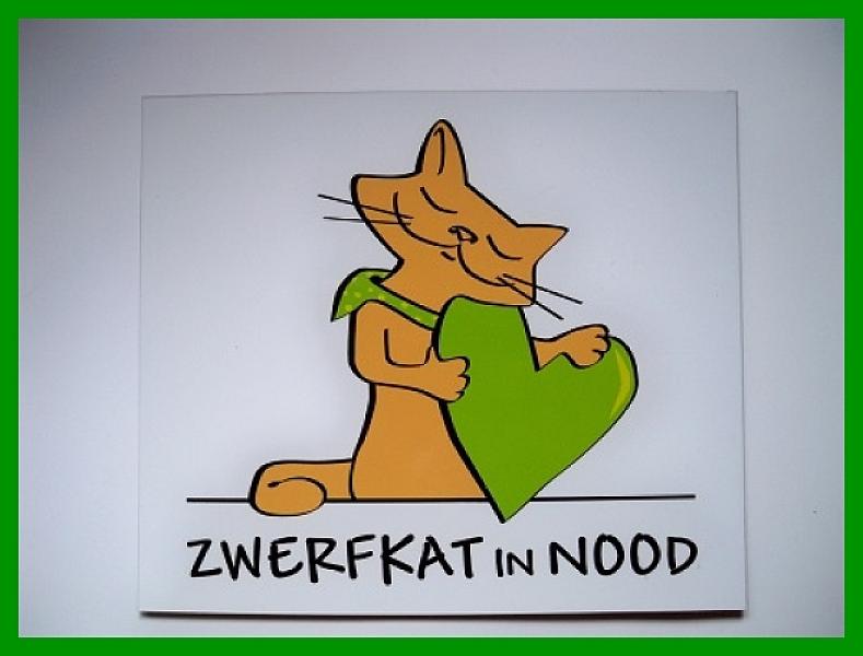Magneetsticker Zwerfkat