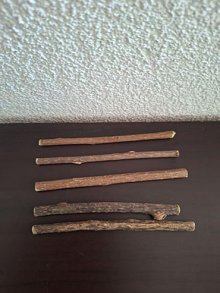 Matatabi Stokjes per 5 stuks