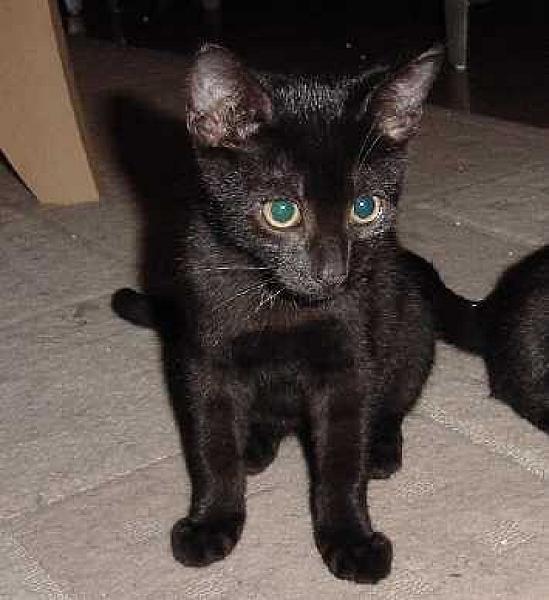 Berlioz 110
