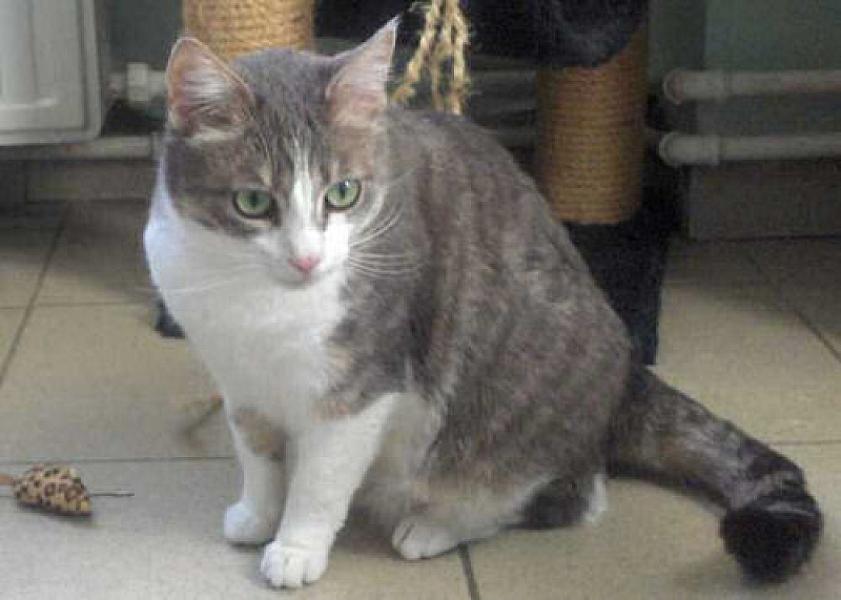 Cato en Charlie