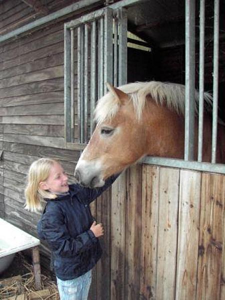 Triple ( PAARD)