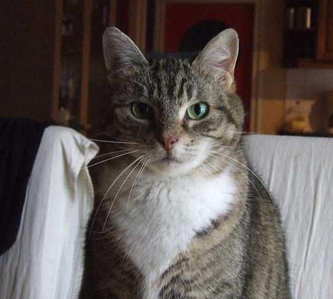Abby