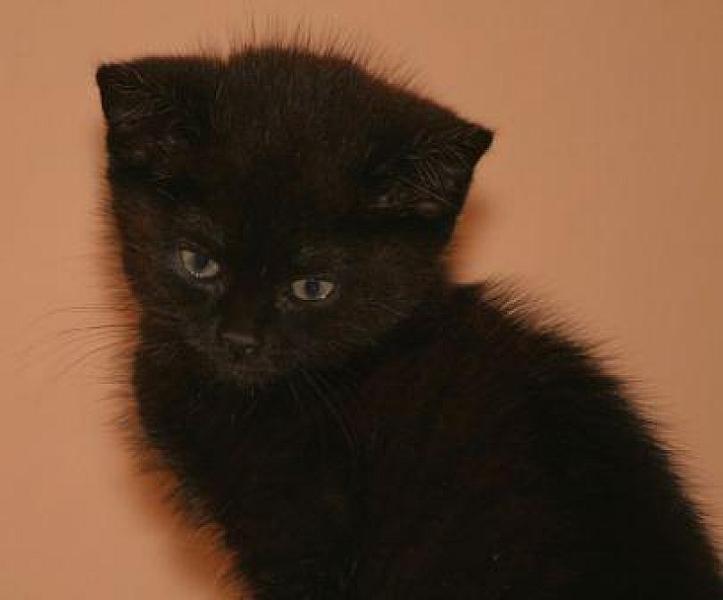 Billy
