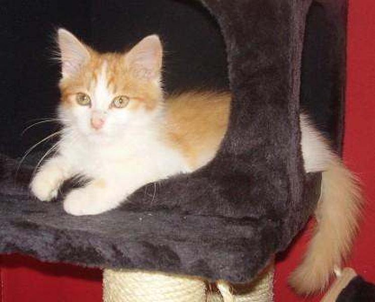 Frits