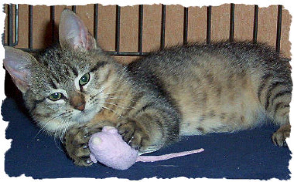 Esma