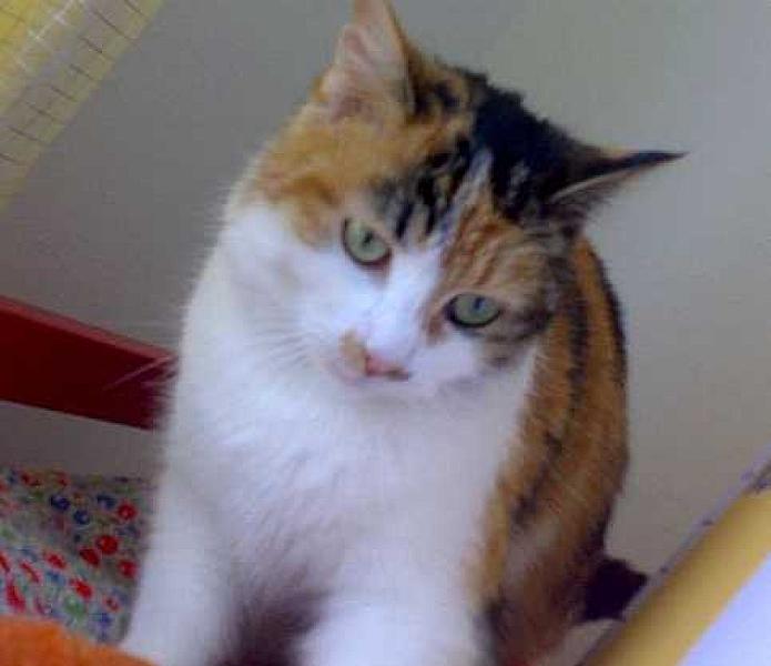 Mien