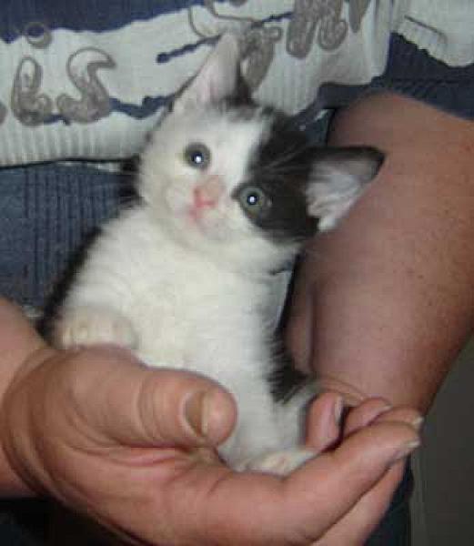 Edmund