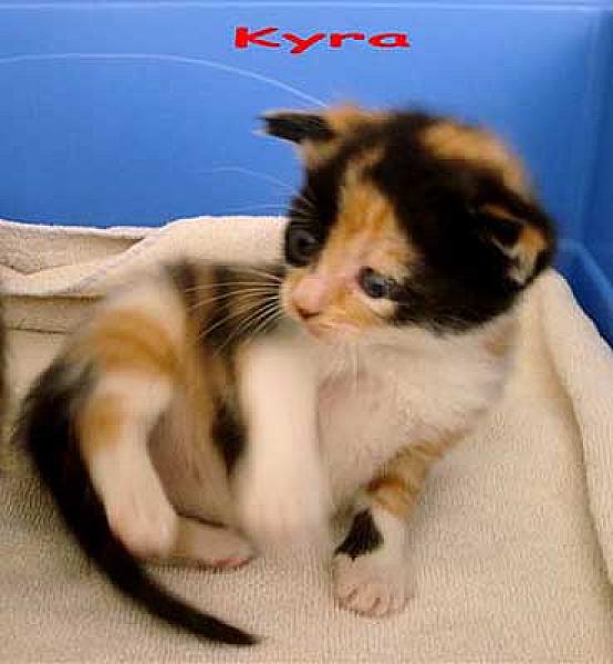 Kyra