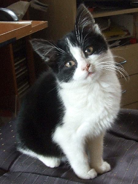 Ruben