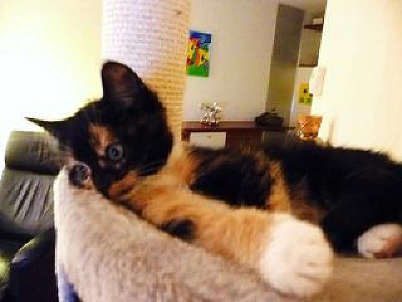 Zoey
