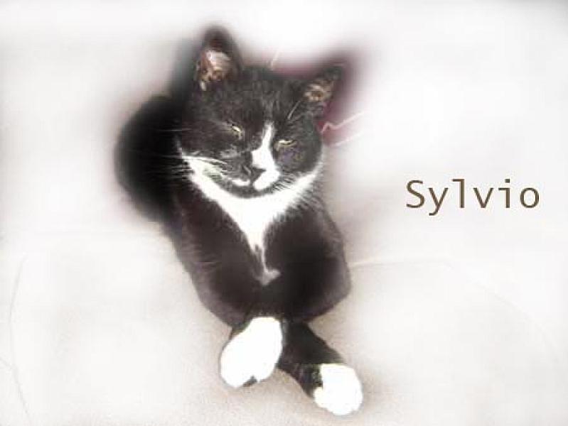 Sylvio