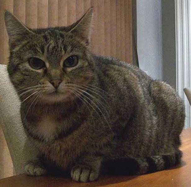 Mimi