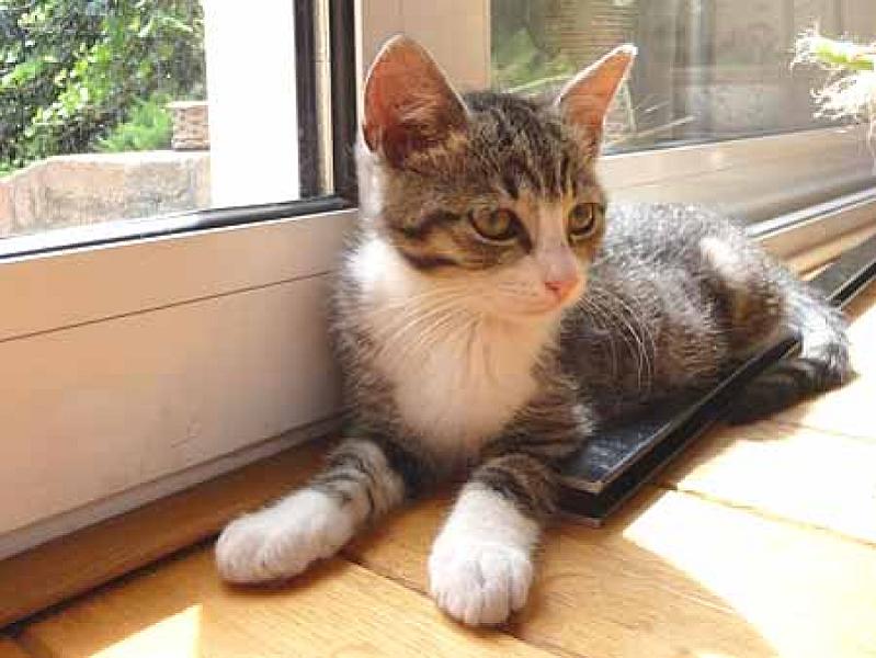Marlowe