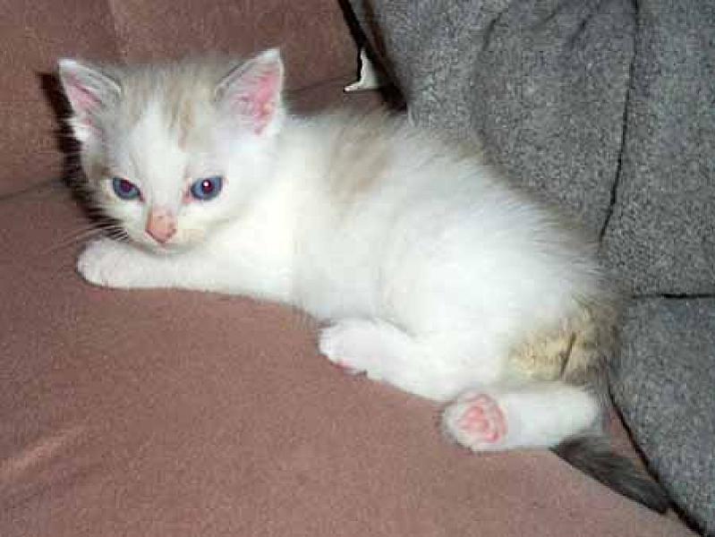 Snowy en Tino