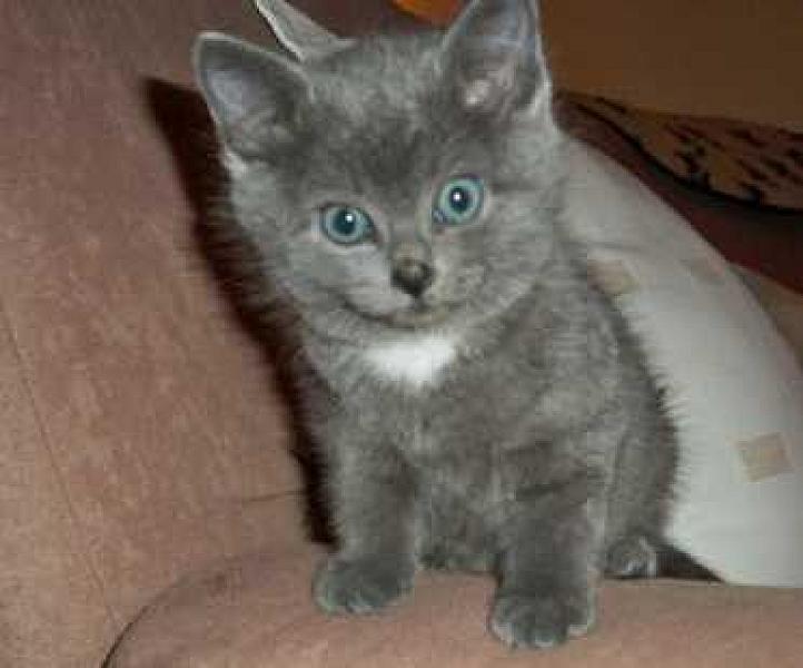 Darya en Fanny