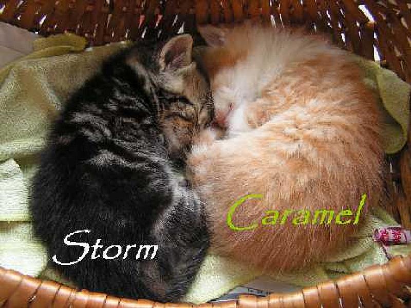Storm en Caramel
