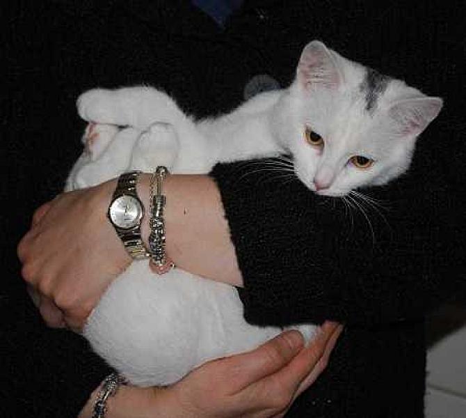 Blanca