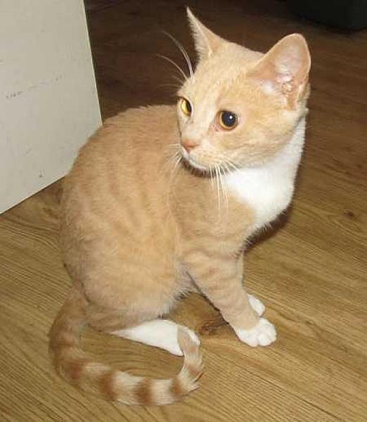Karma en Kosmo