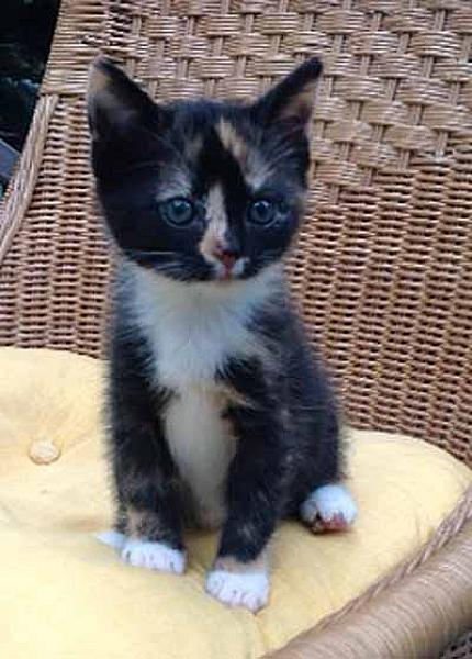 Kiki