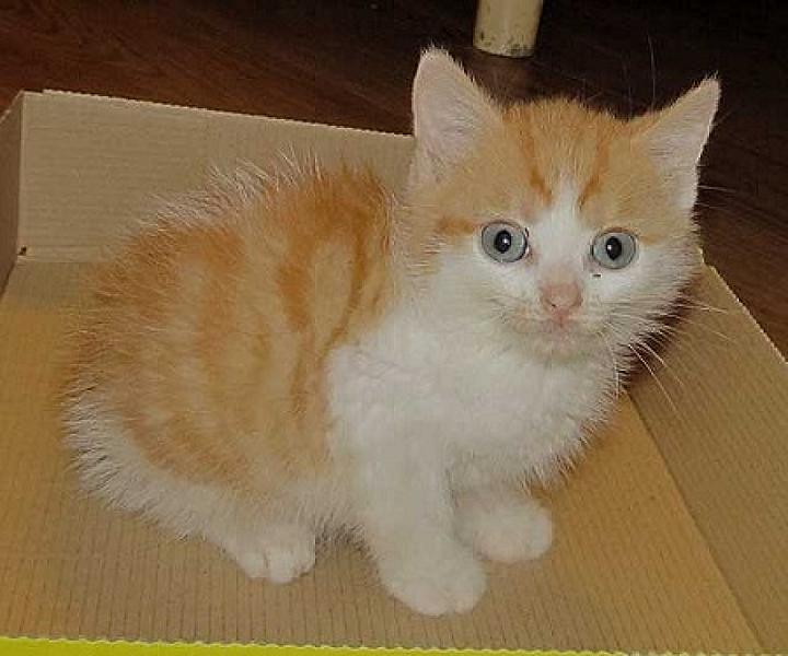Epke