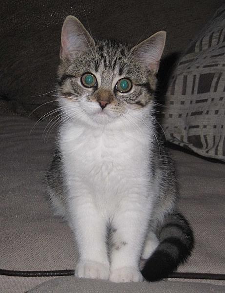 Dewi en Bowie