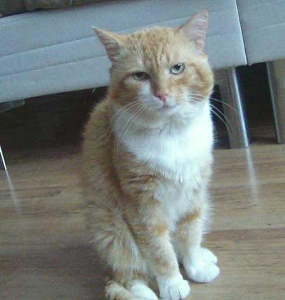 Fredje