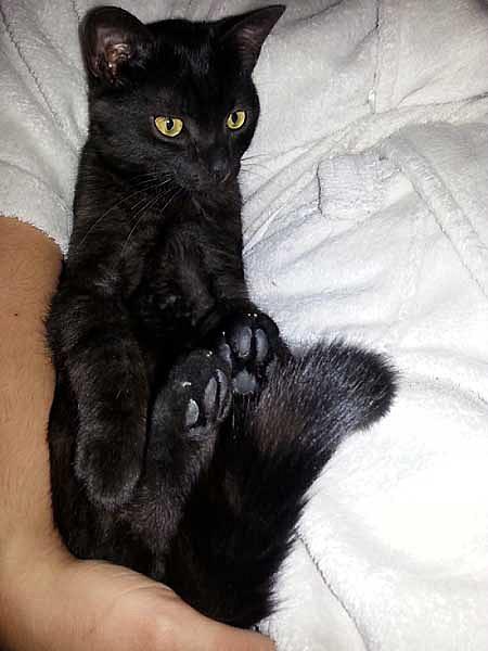 Tobi