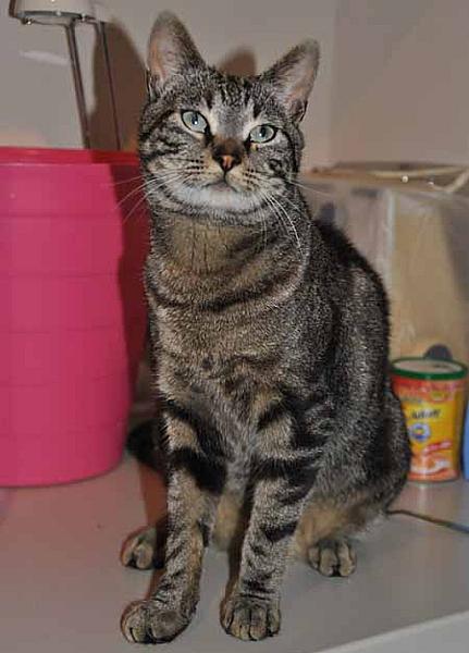 Onslow