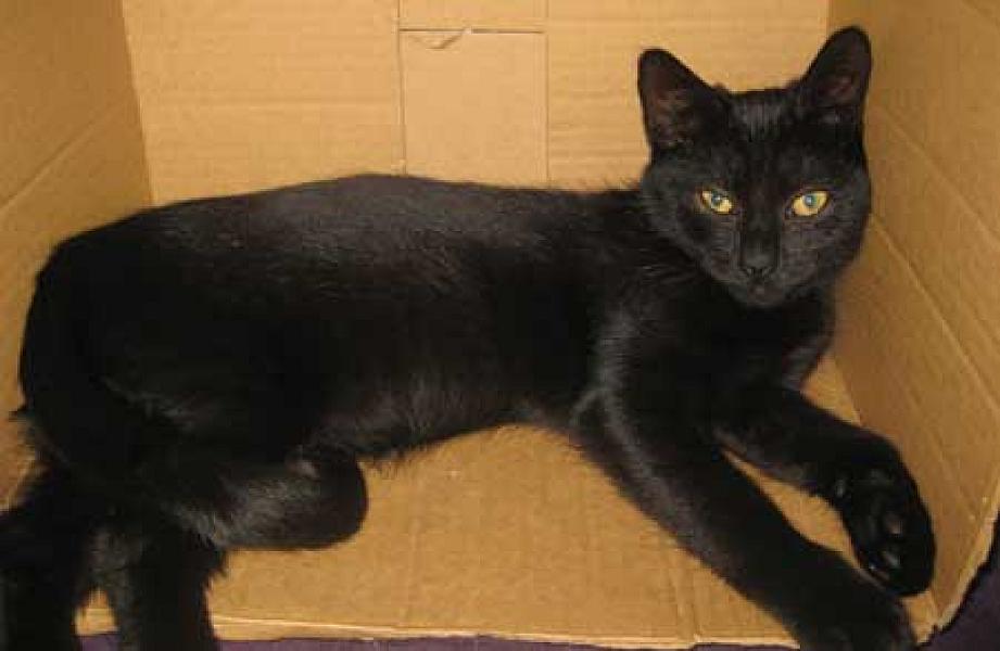 Onyx en Tourmalijn