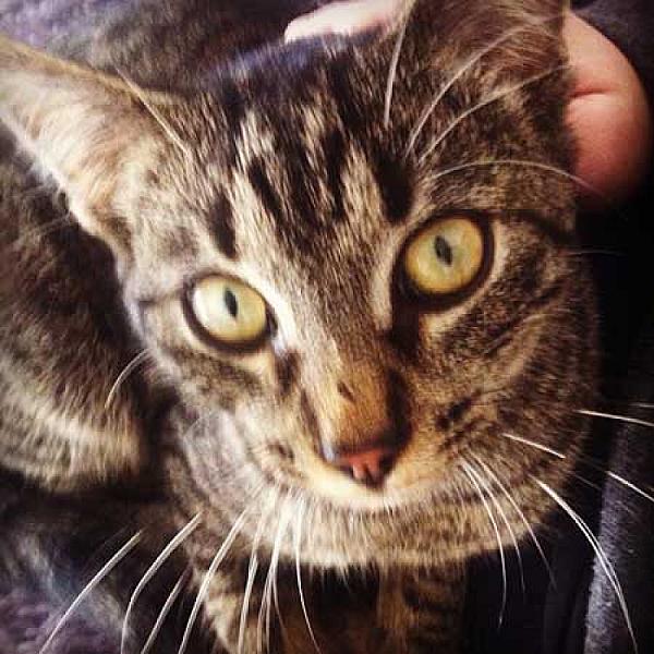 Billy