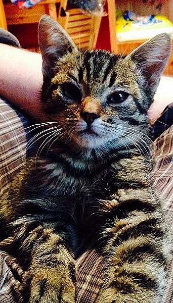 Nani