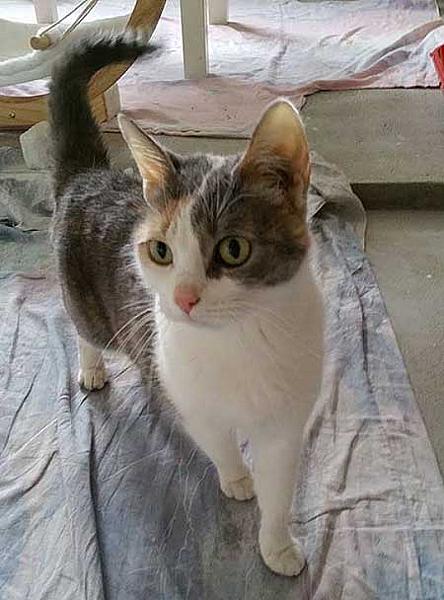 Kita